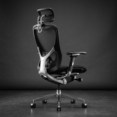 Ergonomic Office Chair